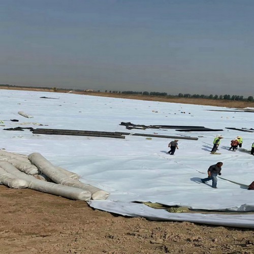 固体废物垃圾填埋场终场HDPE土工膜覆盖产品批发价