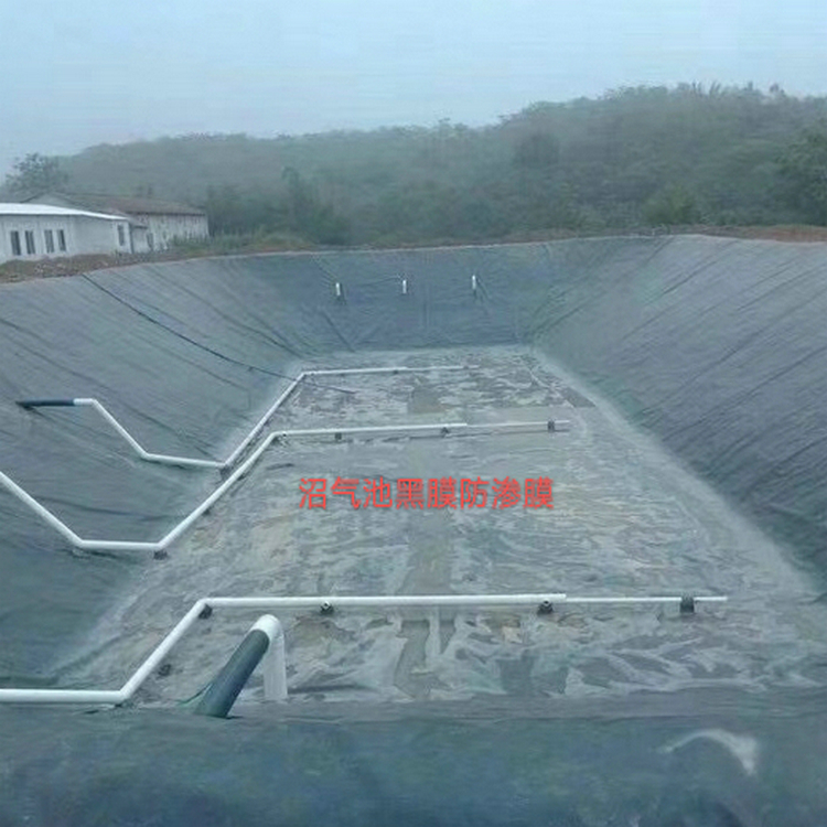 牧业沼液池防渗膜 0.5mm防渗膜厂家自产自销