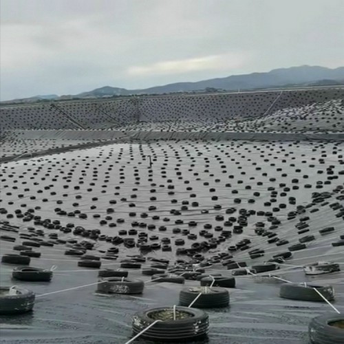 堆灰场土工膜性能稳定