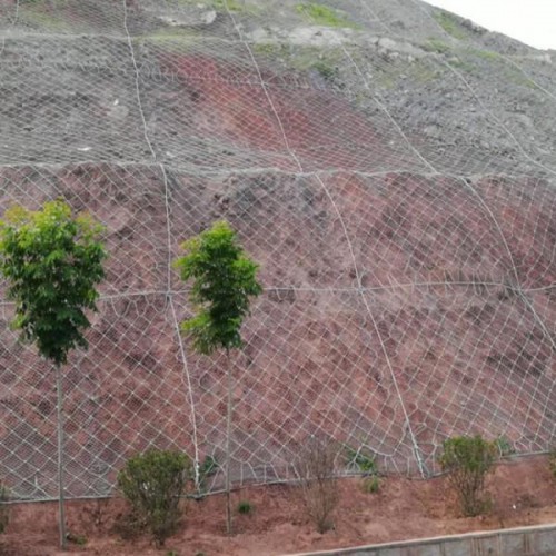 边坡防护网专业厂家