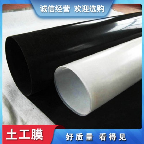 土工膜 山东土工膜 防渗土工膜