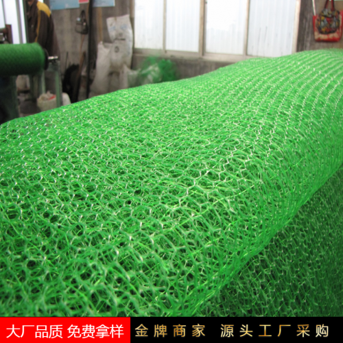 三维植被网 三维土工网垫 三维植被网护坡植草网绿化防护