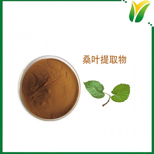 桑叶提取物 桑叶DNJ1% 植物提取物