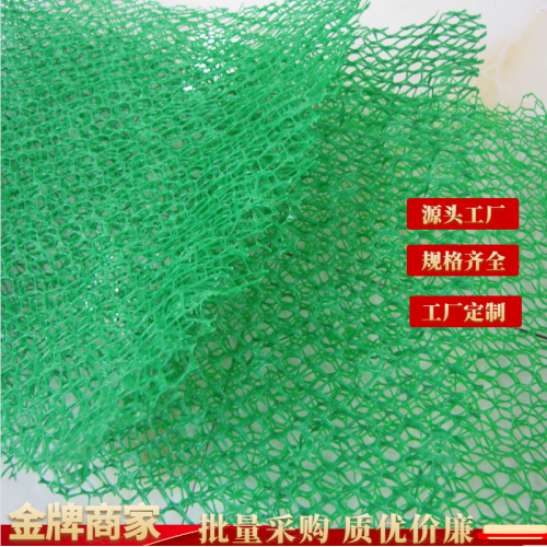 三维植被网厂家 大厂直销