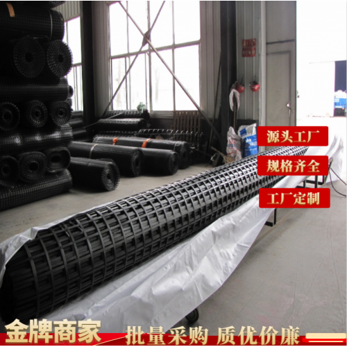 钢塑格栅 凸节点钢塑格栅 量大从优钢塑复合土工格栅