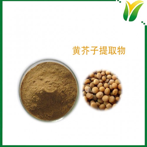 黄芥子提取物 10：1 芥子提取物 植物提取物