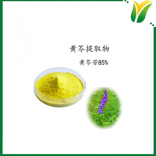 植物提取物 黄芩提取物 黄芩苷85% Baicalin