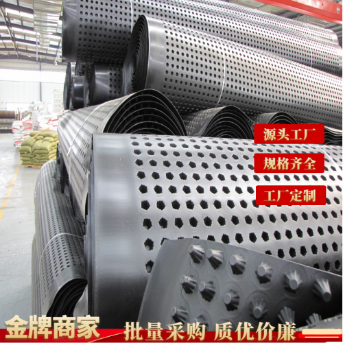 排水板 排水板卷材 排水板实力厂家