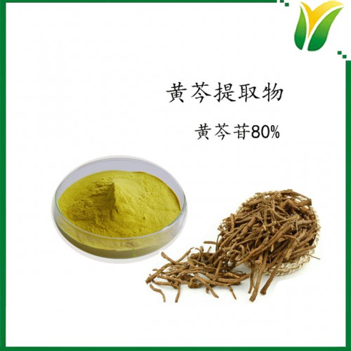 黄芩提取物 黄芩甙80% 植物提取物
