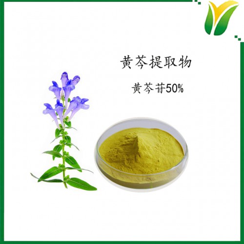 黄芩提取物 植物提取物 黄芩甙50%