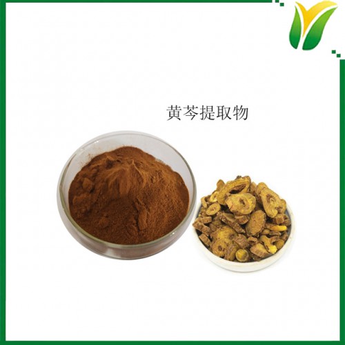 黄芩提取物10:1 植物提取物
