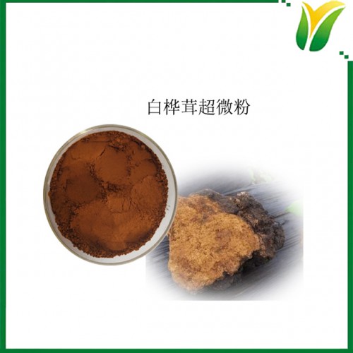 白桦茸提取物 白桦茸粉 白桦茸超微粉 桦褐孔菌500目粉