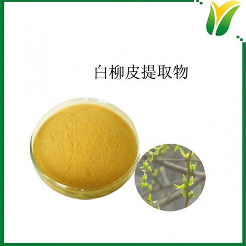 白柳皮提取物 柳皮萃取粉 水杨甙25% 植物提取物