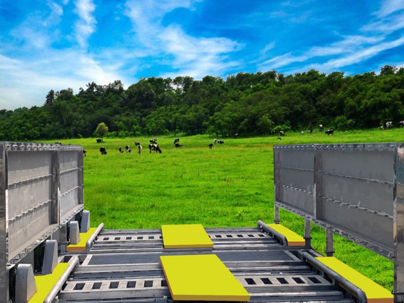 Summer beach concept