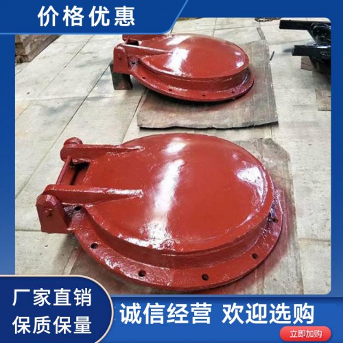 钢制拍门 不锈钢拍门 厂家