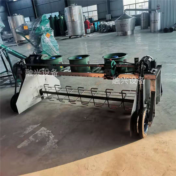 Summer beach concept