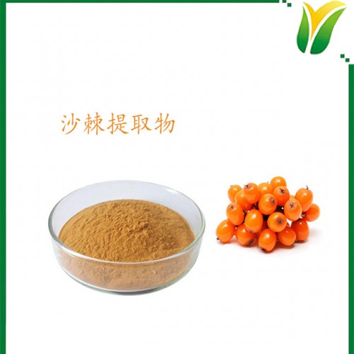 沙棘提取物 沙棘黄酮10% 植物提取物