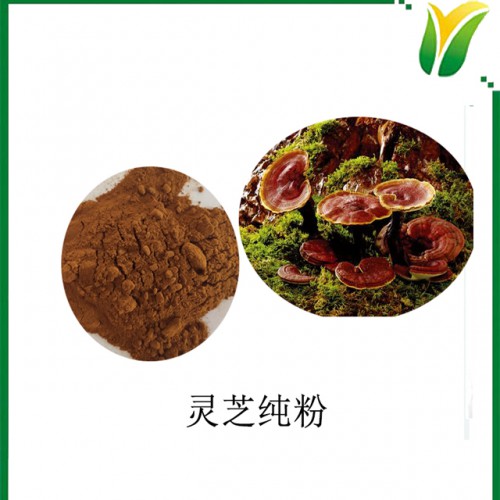 灵芝提取物 灵芝纯粉 可水溶赤灵芝粉