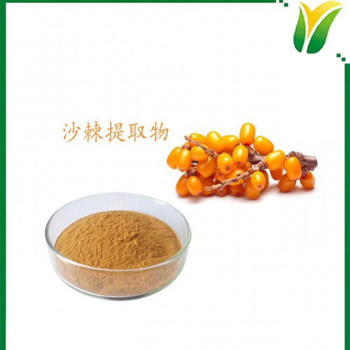 沙棘提取物 沙棘黄酮5% 植物提取物