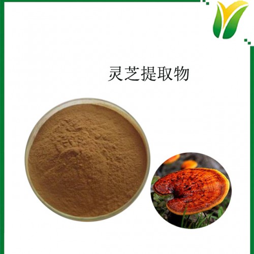 灵芝提取物 灵芝多糖50% 林中灵萃取物