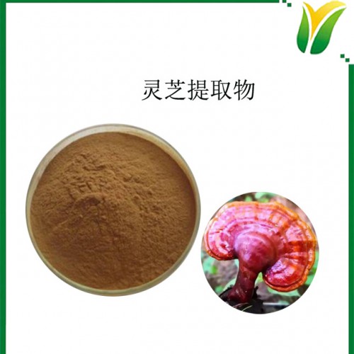 灵芝提取物 灵芝三萜1% 灵芝多糖30%