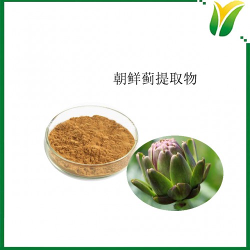 朝鲜蓟提取物 洋蓟酸2.5% 朝蓟素 植物提取物