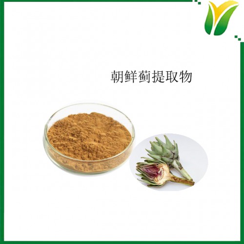 朝鲜蓟提取物 洋蓟酸5% 植物提取物