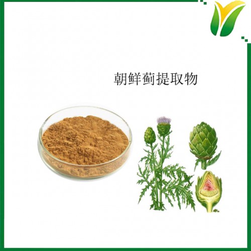 朝鲜蓟提取物 植物提取物 洋蓟酸含量10%
