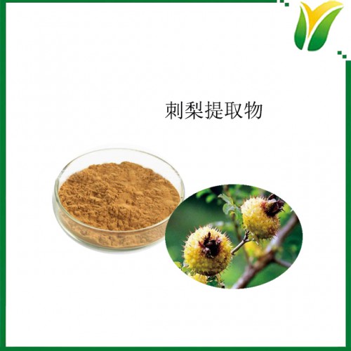 刺梨提取物5：1 植物提取物 刺菠萝提取物