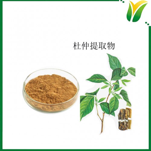 杜仲提取物 杜仲绿原酸5% 丝楝树皮萃取物