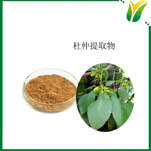 杜仲提取物 杜仲绿原酸25% 杜仲萃取粉