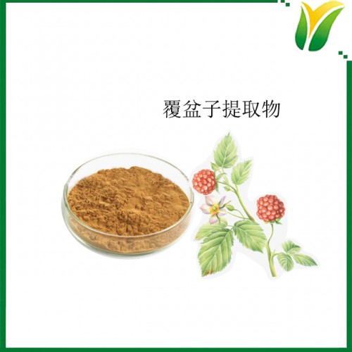 植物提取物 覆盆子提取物10：1 悬钩子提取物