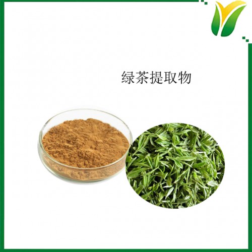 绿茶提取物 绿茶茶多酚80% 植物提取物
