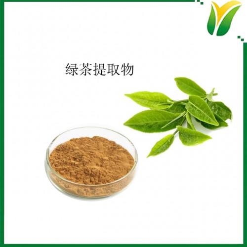 绿茶提取物 茶多酚15% 植物提取物
