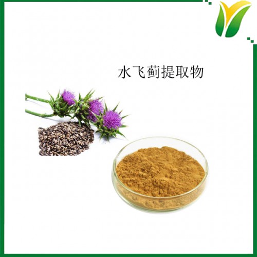水飞蓟提取物水飞蓟素80% 植物提取物