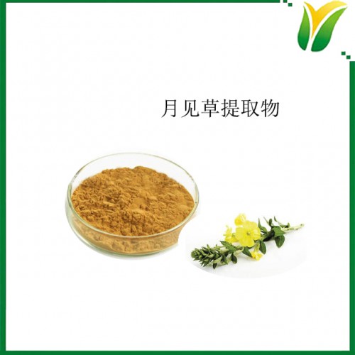 月见草提取物5：1 野芝麻提取物 植物提取物