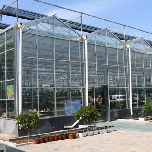 大型智能温室工程 连栋智能温室承建商 智能温室造价成本