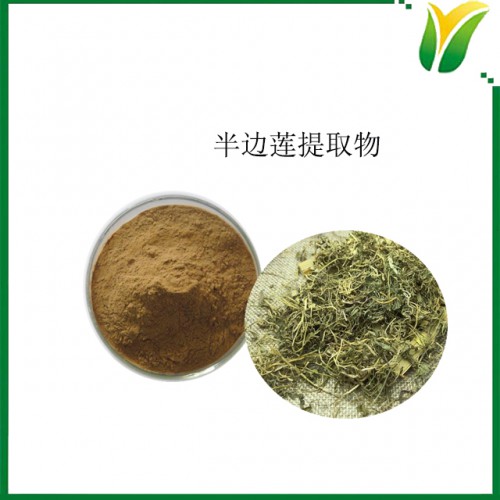 半边莲提取物5:1 植物提取物 半枝莲提取物