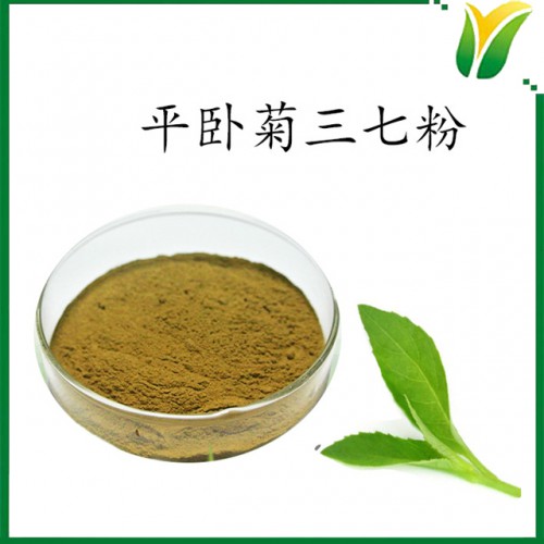植物提取物 平卧菊三七粉 平卧菊三七生粉