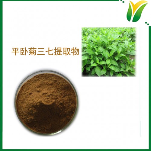 平卧菊三七提取物5:1 植物提取物