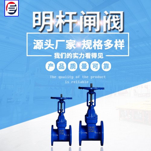 铸铁明杆闸阀 Z81X明杆闸阀 沟槽明杆闸阀