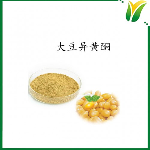 大豆异黄酮 总异黄酮10% 大豆胚芽萃取物 植物提取物