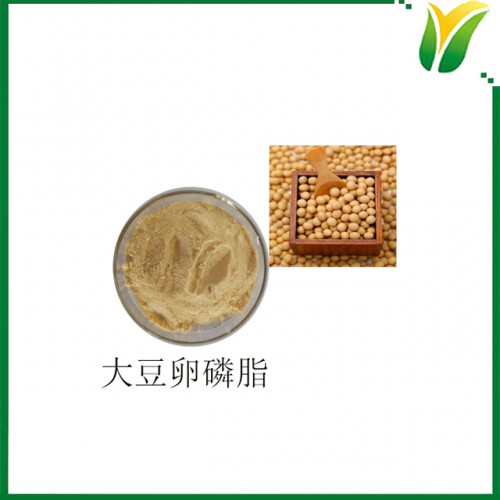 大豆卵磷脂 磷脂 丙酮不溶物60% 植物提取物