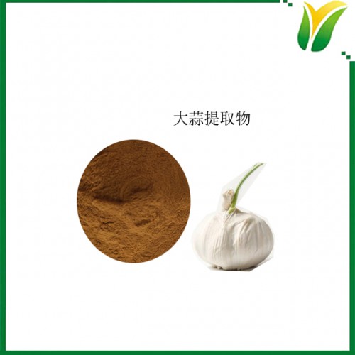 大蒜提取物5:1 蒜头提取粉 可水溶大蒜植物提取物 粉末