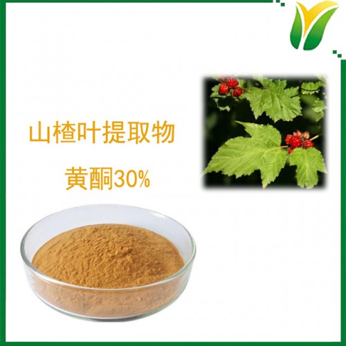 山楂叶提取物 山楂叶黄酮30% 植物提取物