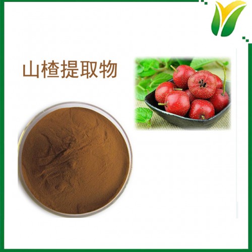 山楂提取物 山楂黃酮5%山楂果实植物提取物粉末