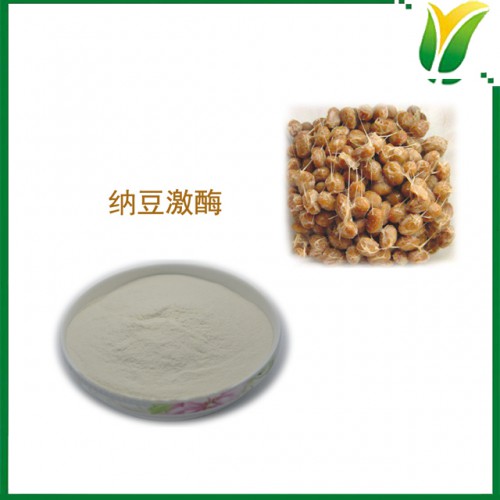 植物提取物 纳豆激酶20000FU/g 纳豆提取物