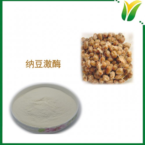 植物提取物 纳豆激酶 12000FU/g