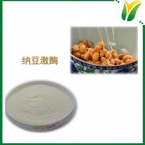 纳豆激酶 NK 2000FU/g 植物提取物 纳豆提取物