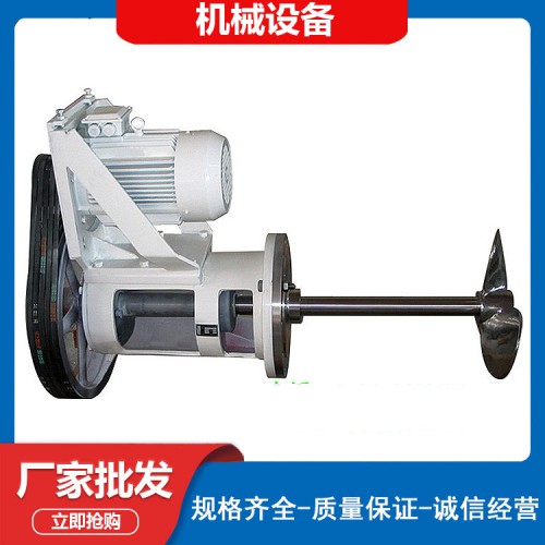 侧入式搅拌器